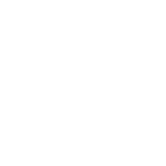 Irbis