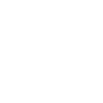 Pioneer