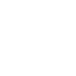Rapid